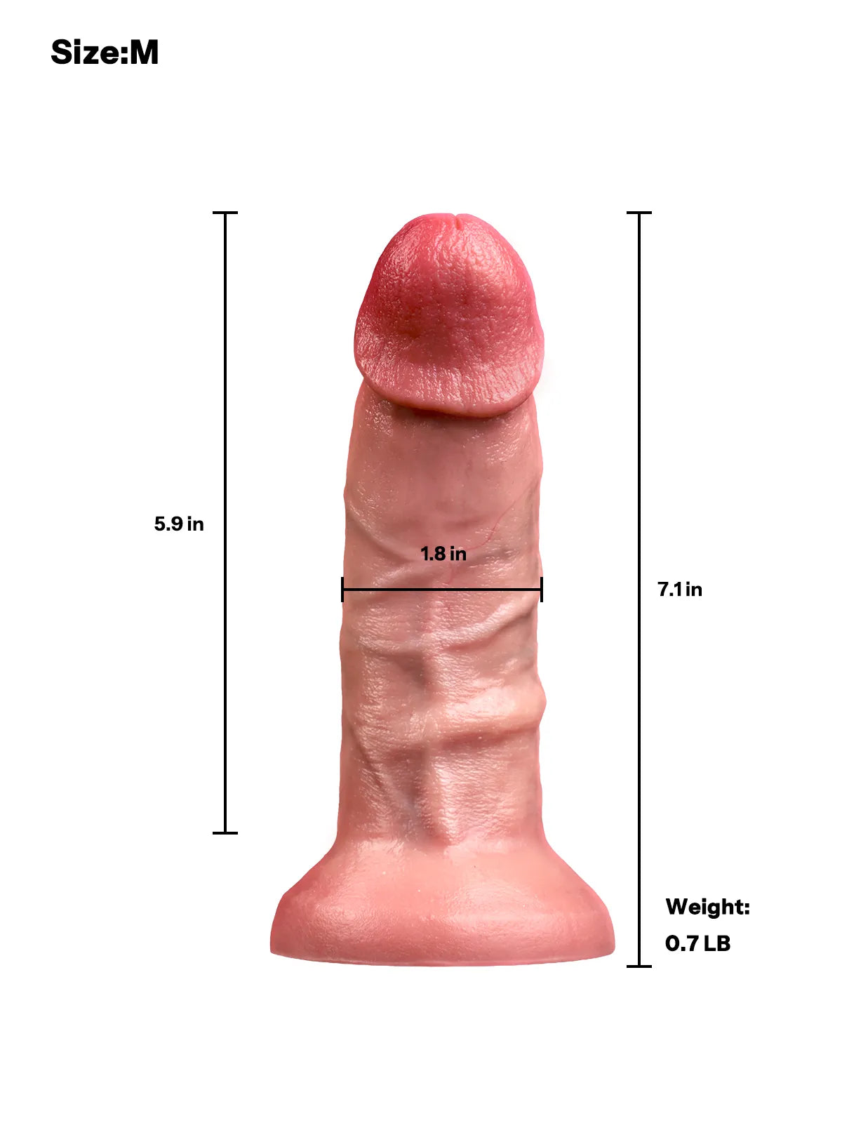 Allen larger size dimensions and measurements