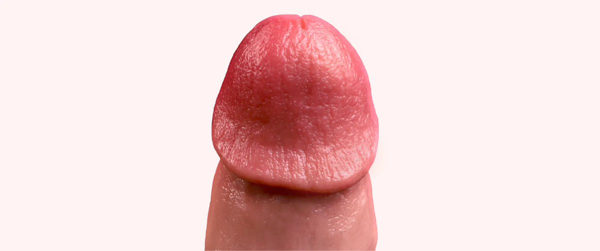 Close-up of the Allen dildo tip