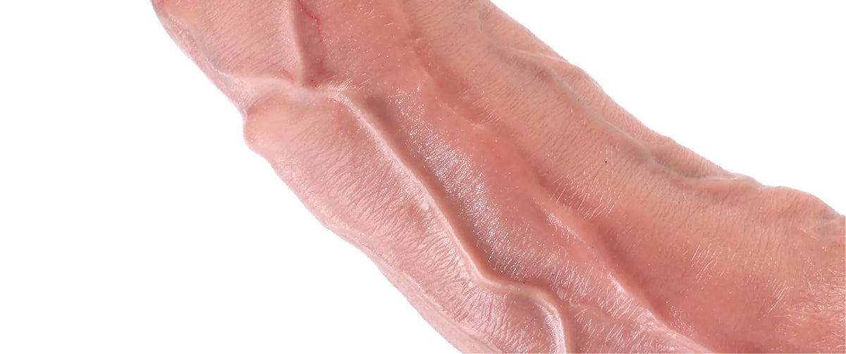 Close-up of Geoduck Boy realistic dildo shaft with raised vein detail
