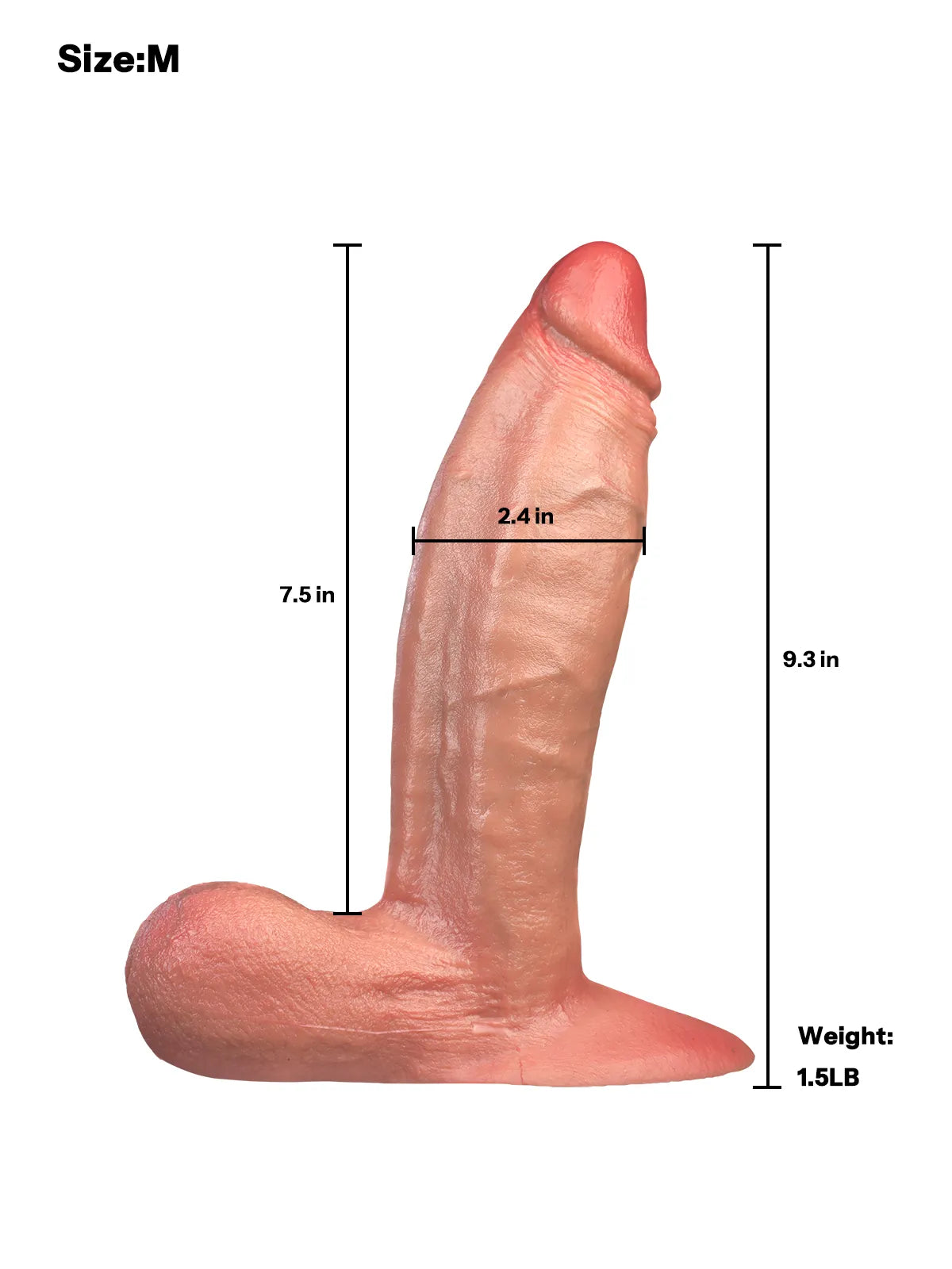 O-Annihilator 2077 M size realistic dildo dimensions and measurements