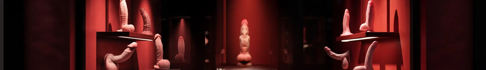 Phallological Museum collection of realistic dildos