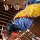 Phoenix-GP