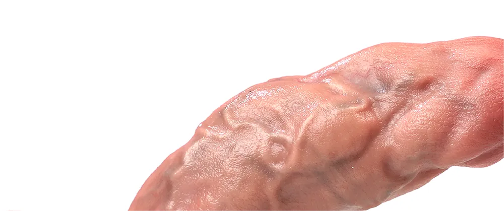 Close-up of the Coach dildo texture