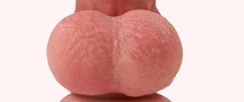 Close-up of the Coach dildo balls
