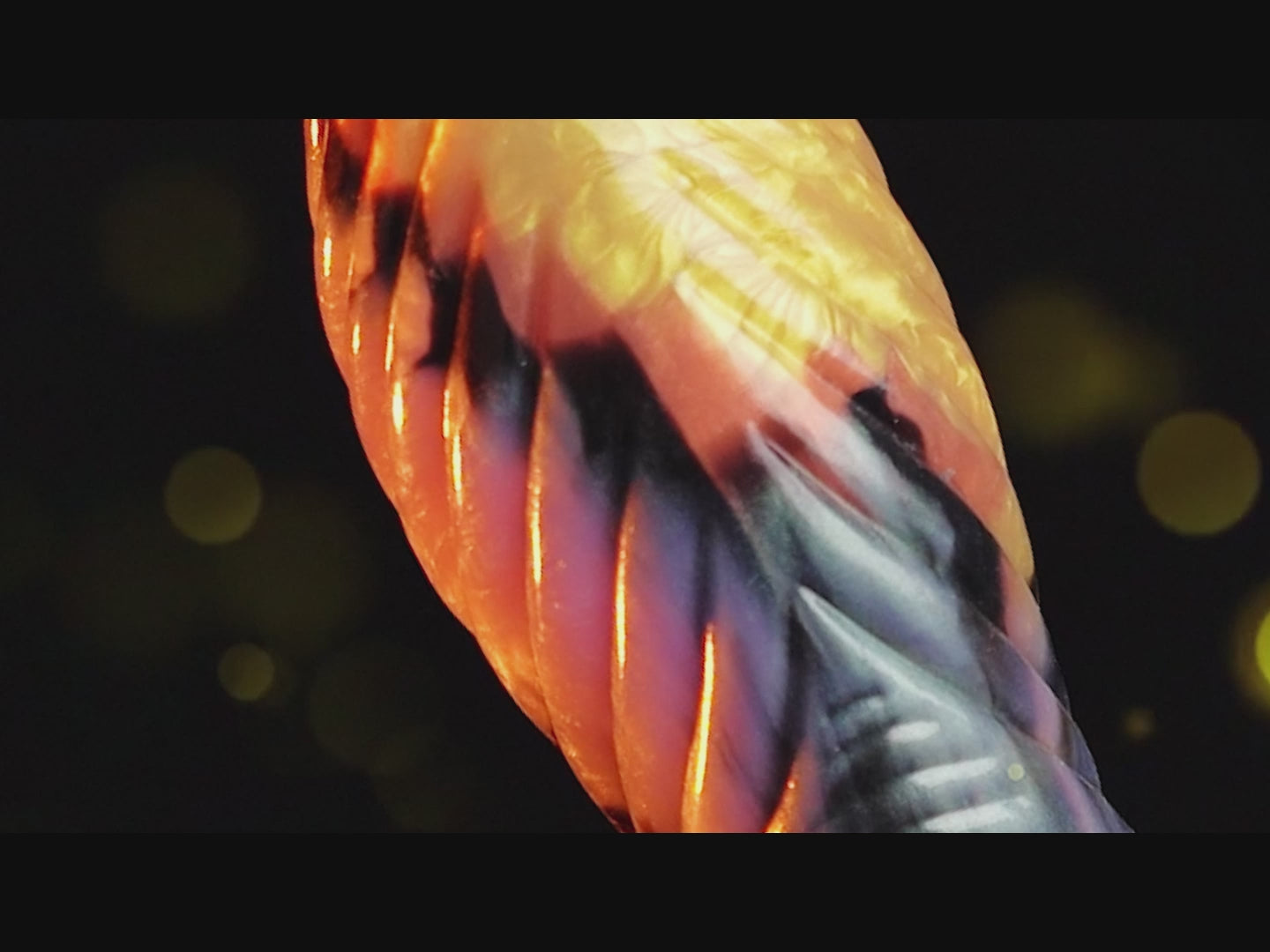 Load video: 